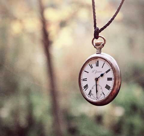 Foto: www.google.com